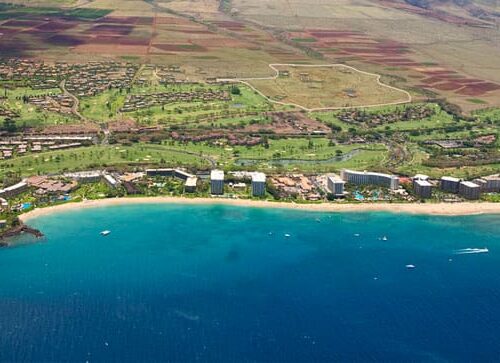 Maui Real Estate