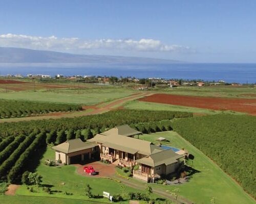 Maui Real Estate