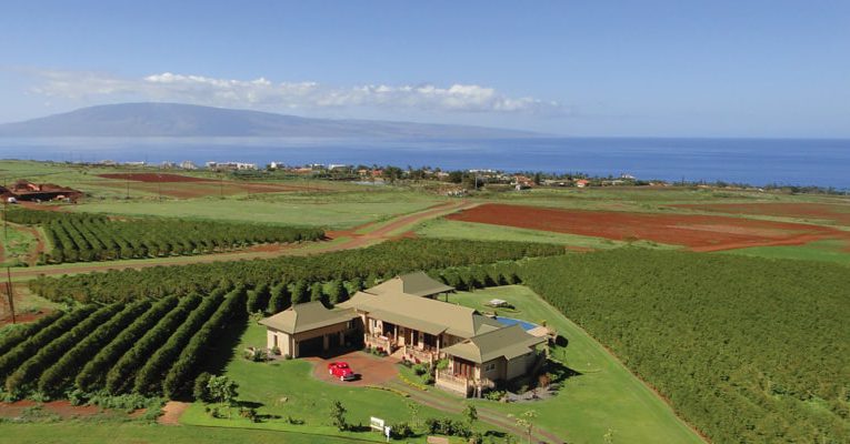 Maui Real Estate