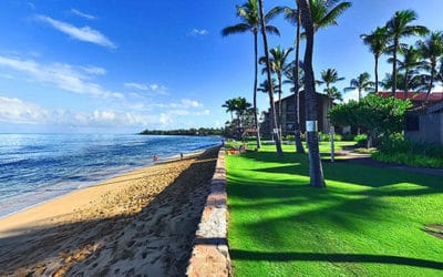 Check Out Papakea Beach Resort Maui Timeshare Interval Ownership