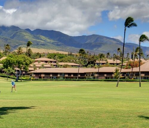 Maui Real Estate