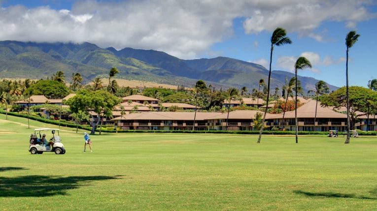 Maui Real Estate