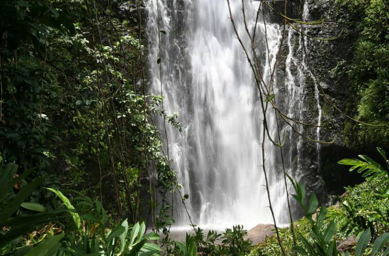 Maui Real Estate