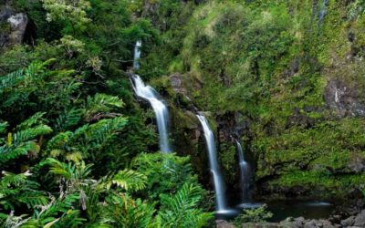 Top 5 Hiking Spots in Maui, Hawaii