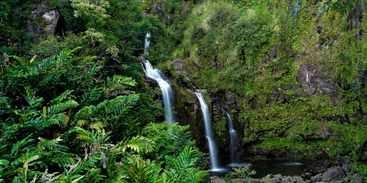 Top 5 Hiking Spots in Maui, Hawaii Maui Luxury Real Estate Team