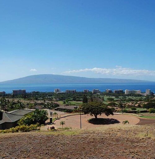 Maui Real Estate