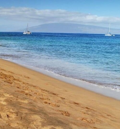 Maui Real Estate