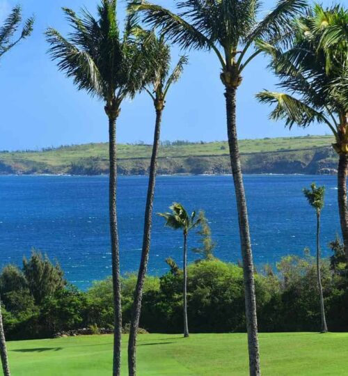 Maui Real Estate