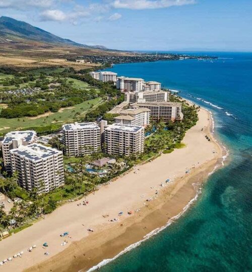 Maui Real Estate