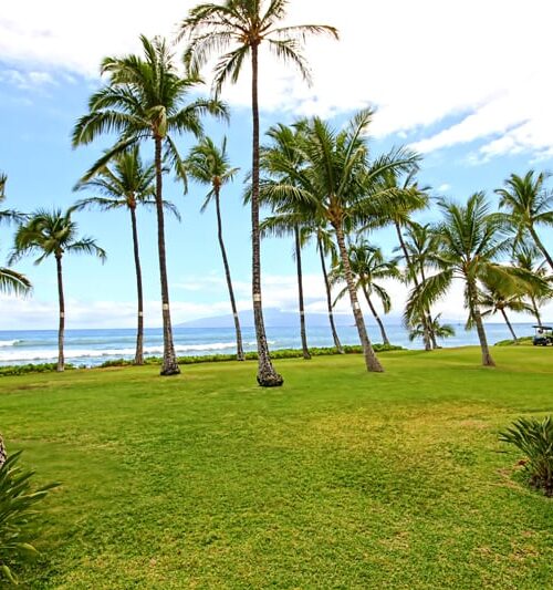 Maui Real Estate