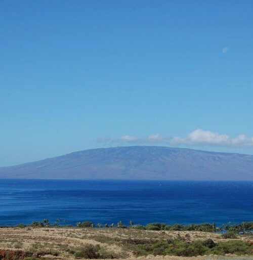 Maui Real Estate