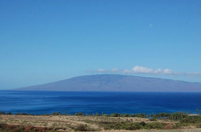 Maui Real Estate