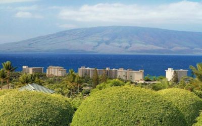 10 Tips for Choosing the Right Maui Home