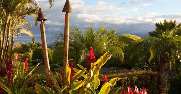 Maui Real Estate