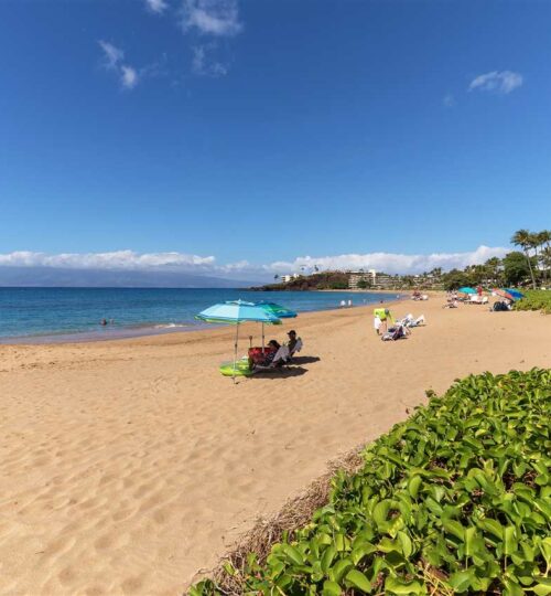 Maui Real Estate