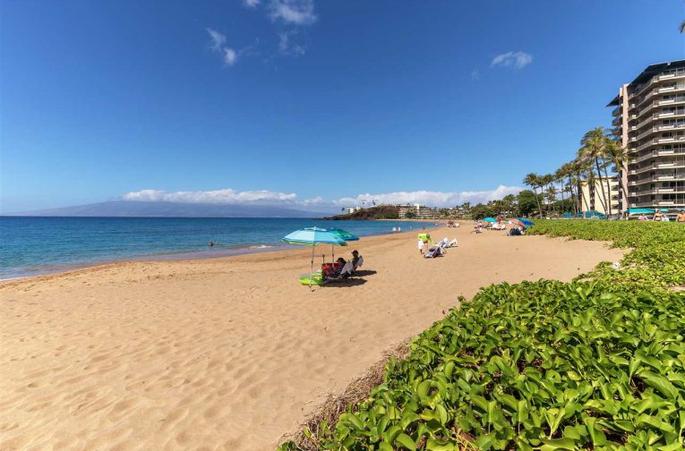 Maui Real Estate