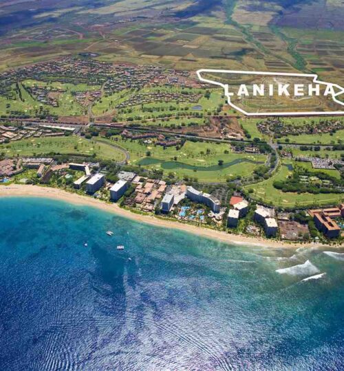 Maui Real Estate