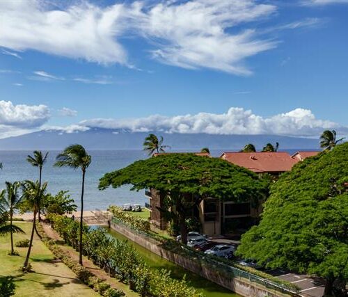 Maui Real Estate