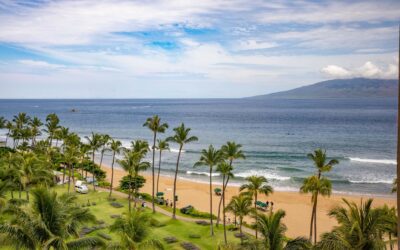 National Sales and Inventory are Tight…And the Maui Marketplace is Running Hot!